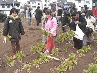 七草がゆ