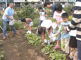 2003年やっちゃい村