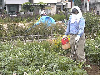 2003年やっちゃい村