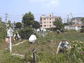 2003年やっちゃい村