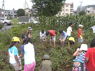 2003年やっちゃい村