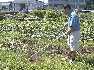 2003年やっちゃい村