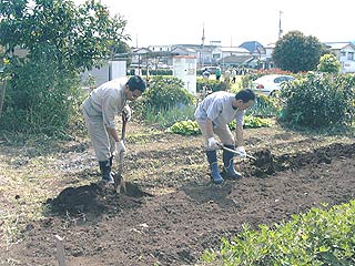 2003年やっちゃい村