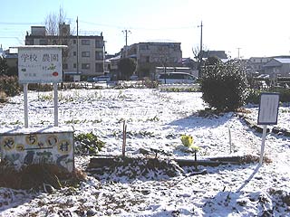 2003年やっちゃい村