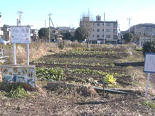 2003年やっちゃい村