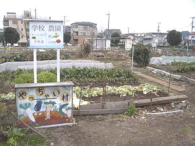 やっちゃい村