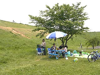 野草を食べる会(jpeg26KB)