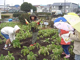 七草がゆを作ろう