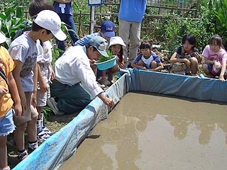 2004農業体験(食育)教室