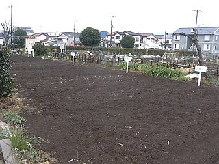 2004年やっちゃい村