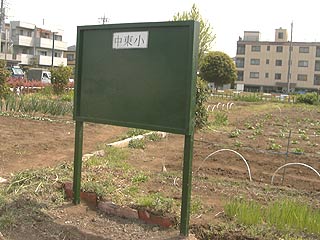 2004年やっちゃい村