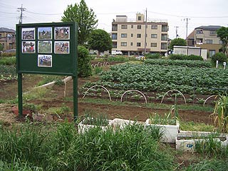 2004年やっちゃい村