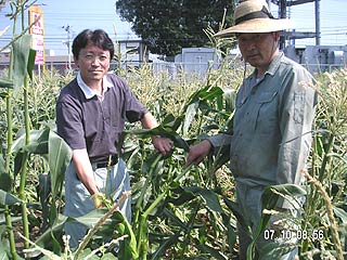 2004年やっちゃい村