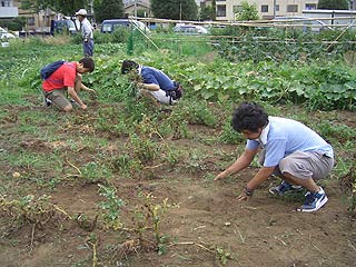 2004年やっちゃい村