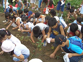 2004年やっちゃい村