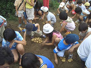 2004年やっちゃい村