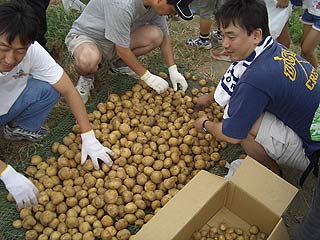 2004年やっちゃい村