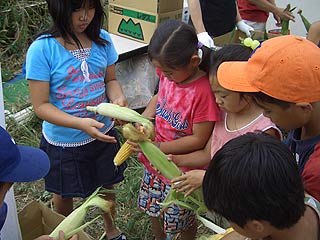 2004年やっちゃい村