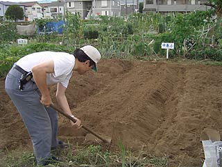 2004年やっちゃい村