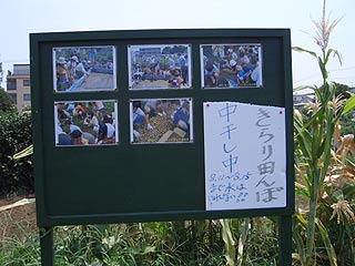 2004年やっちゃい村