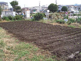 2004年やっちゃい村