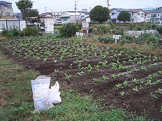 2004年やっちゃい村