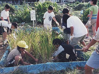 2004年やっちゃい村