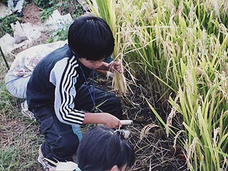 2004年やっちゃい村