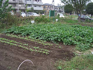 2004年やっちゃい村