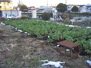 2004年やっちゃい村