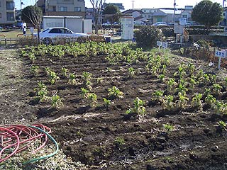 2004年やっちゃい村