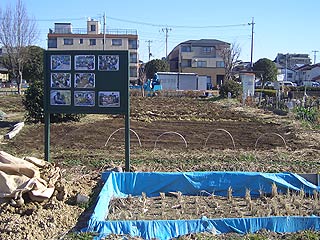 2004年やっちゃい村