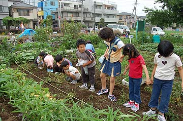 2005じゃがいも収穫祭