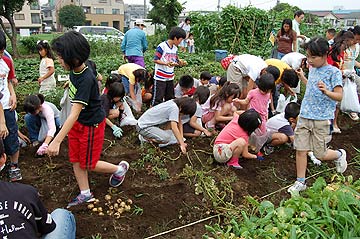 2005じゃがいも収穫祭