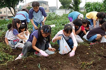 2005じゃがいも収穫祭