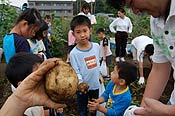 2005じゃがいも収穫祭