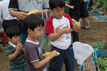 2005じゃがいも収穫祭