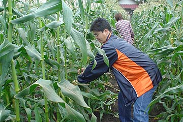 2005じゃがいも収穫祭