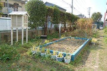 2005農業体験教室(田植え)