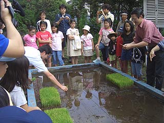 2005農業体験教室(田植え)