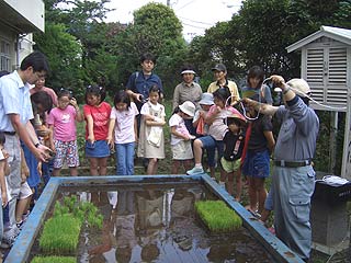 2005農業体験教室(田植え)