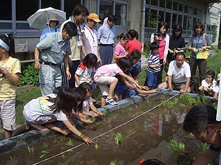 2005農業体験教室(田植え)