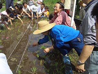 2005農業体験教室(田植え)