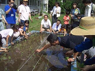 2005農業体験教室(田植え)