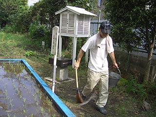 2005農業体験教室(田植え)