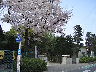 2004年やっちゃい村