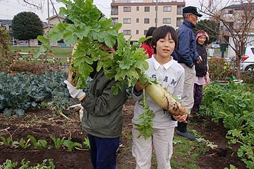 羽子板づくり