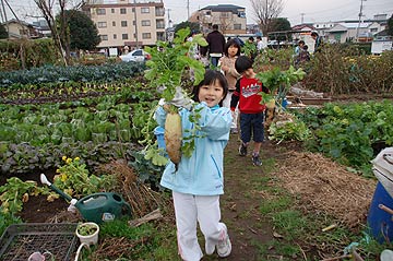 羽子板づくり