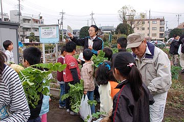 羽子板づくり