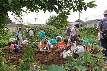 2006じゃがいも収穫祭